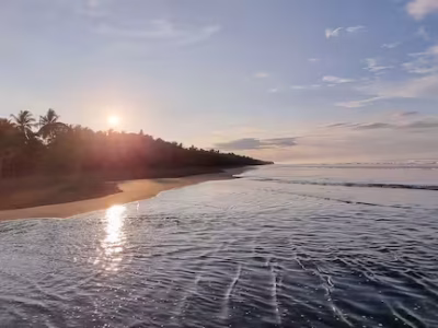 ed74b417-c58a-43e5-9d13-d99b135bbbdb